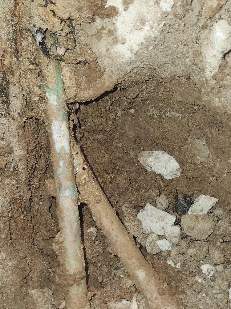 Slide of DBM Rooter and Plumbing