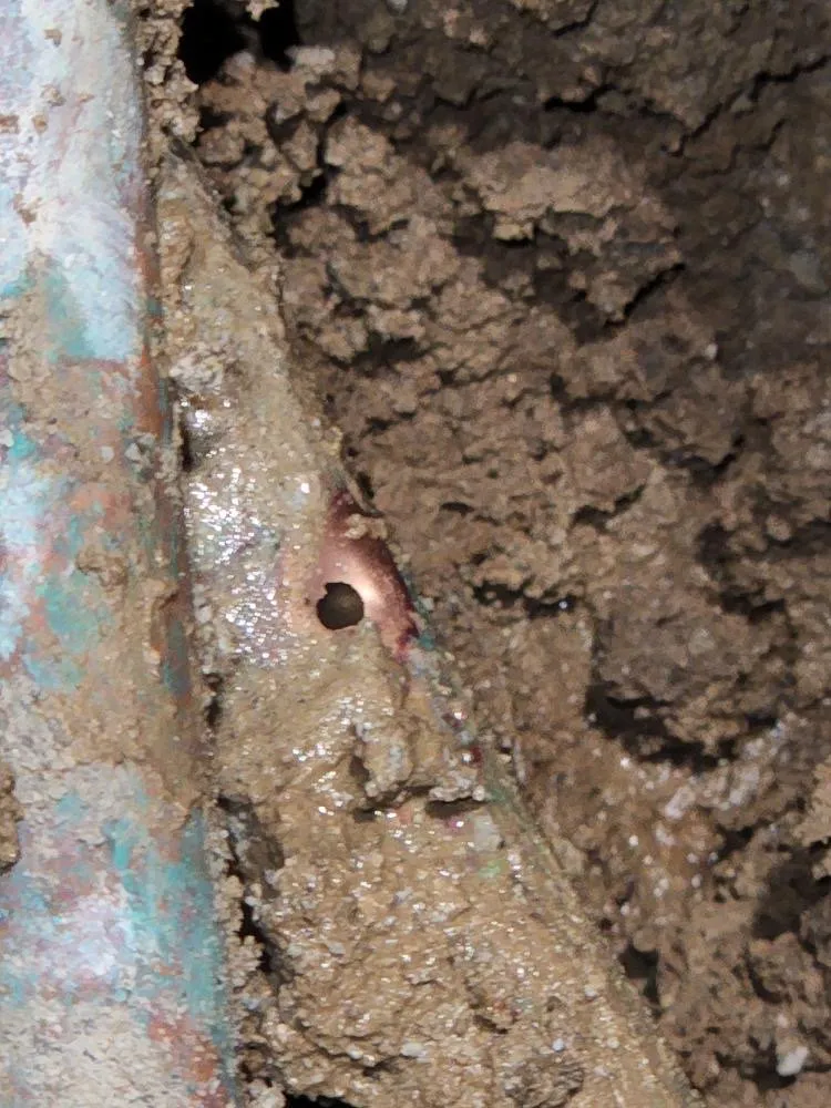 Slide of DBM Rooter and Plumbing