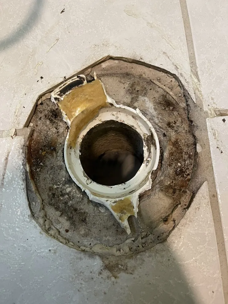 Slide of D.C. Drain Cleaning
