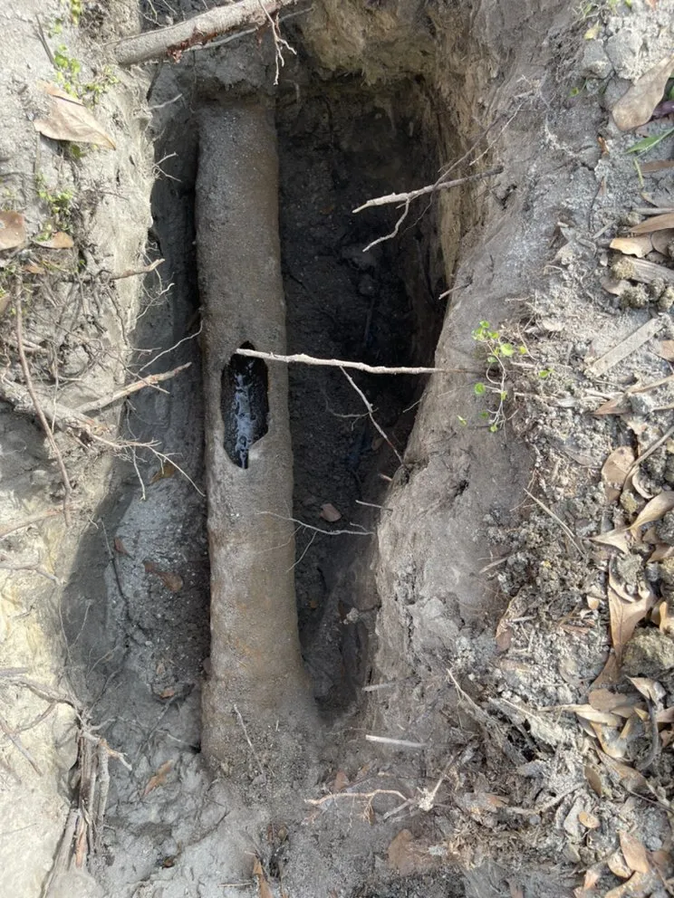 Slide of D.C. Drain Cleaning