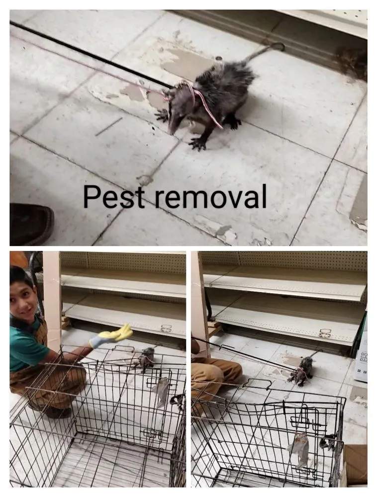 Slide of DC Handyman Services of McAllen