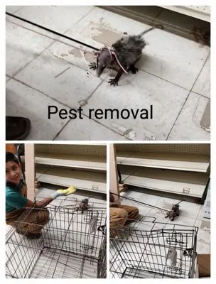 DC Handyman Services of McAllen Logo