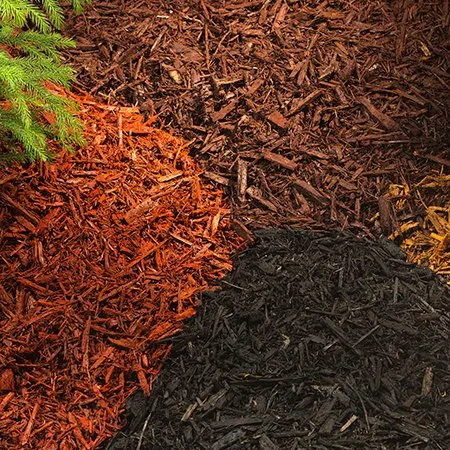 Expert plumbing repair service in Holley, NY - DC Hauling Excavating & Gravel Driveway Specialists