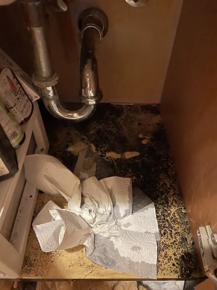 Reliable pipe repair experts serving The Bronx, NY - DC Piping & Heating Corp