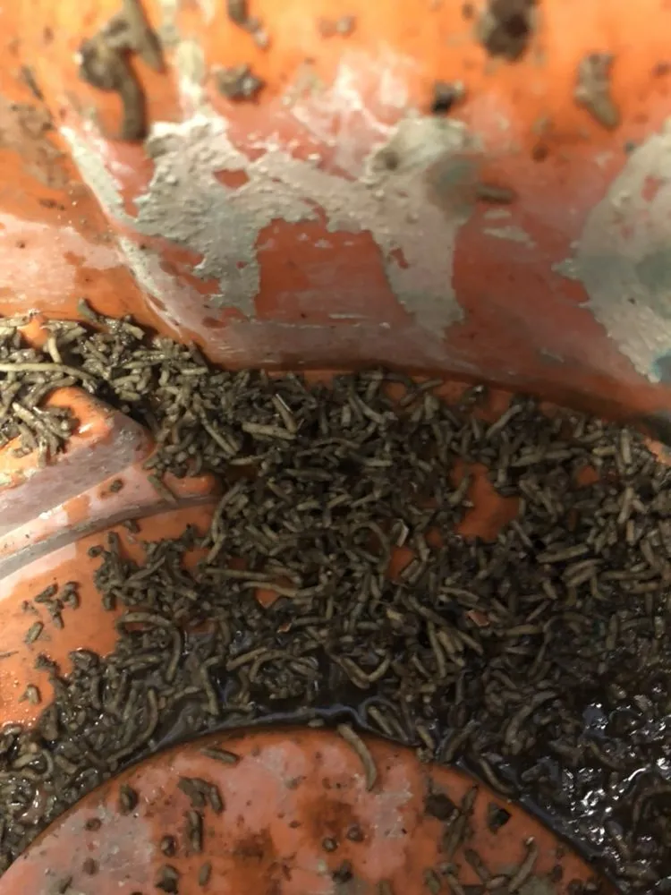 Slide of DCTech Plumbing