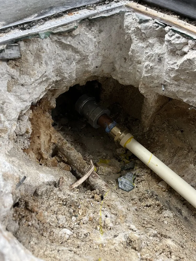 Slide of D&D Elite services