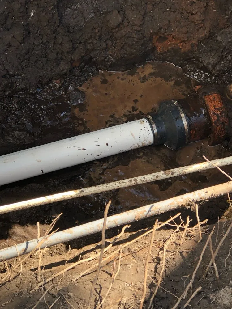 Slide of D&D Elite services