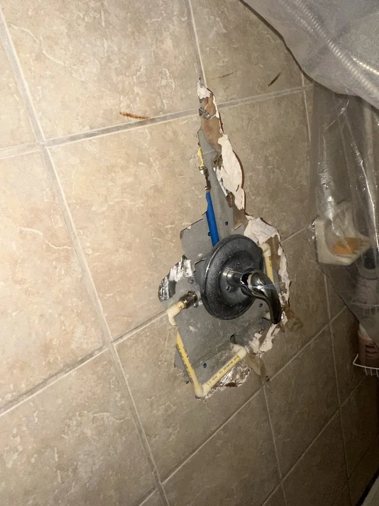 Slide of DD Handyman