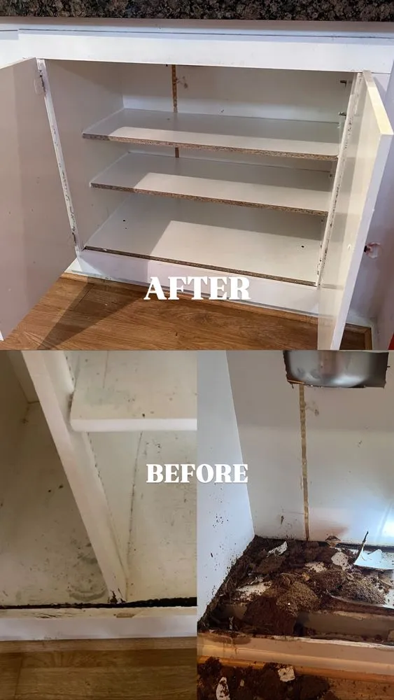 Slide of DD Handyman