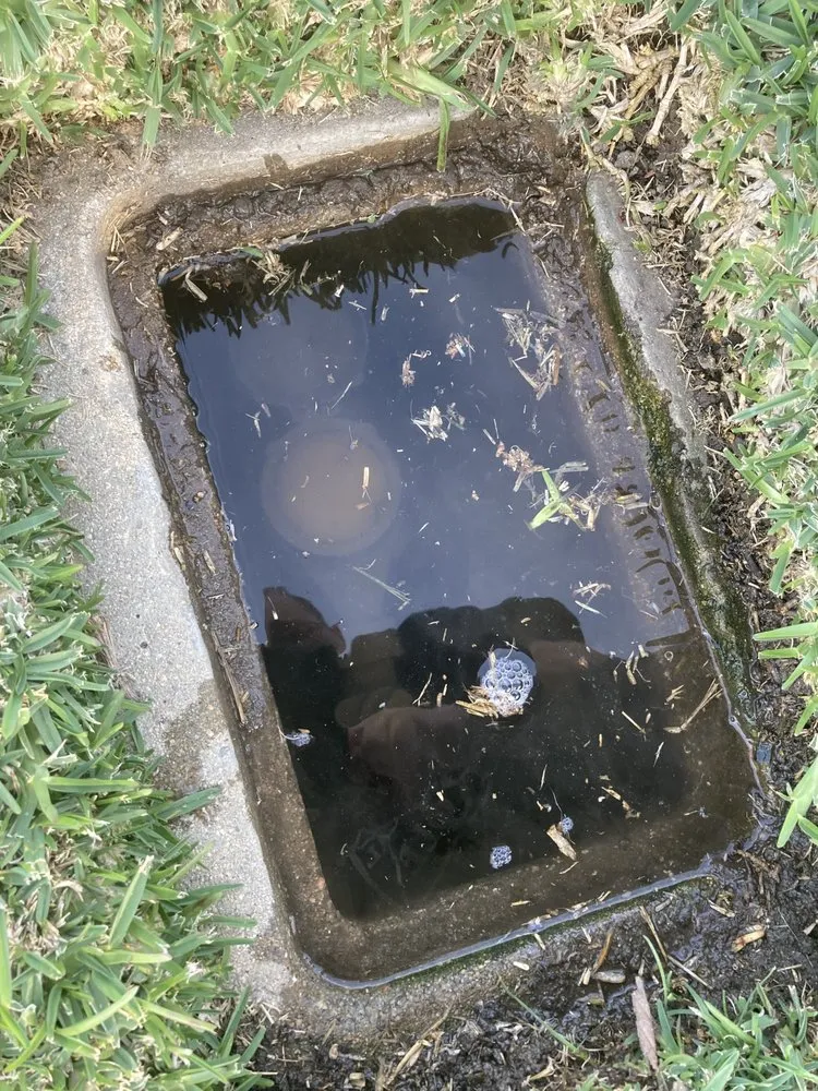 Slide of D&D's Plumbing And Rooter