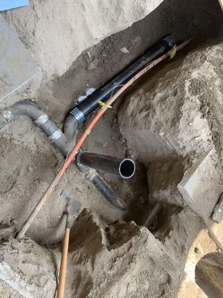 Slide of Dead Mouzz Design and Rooter