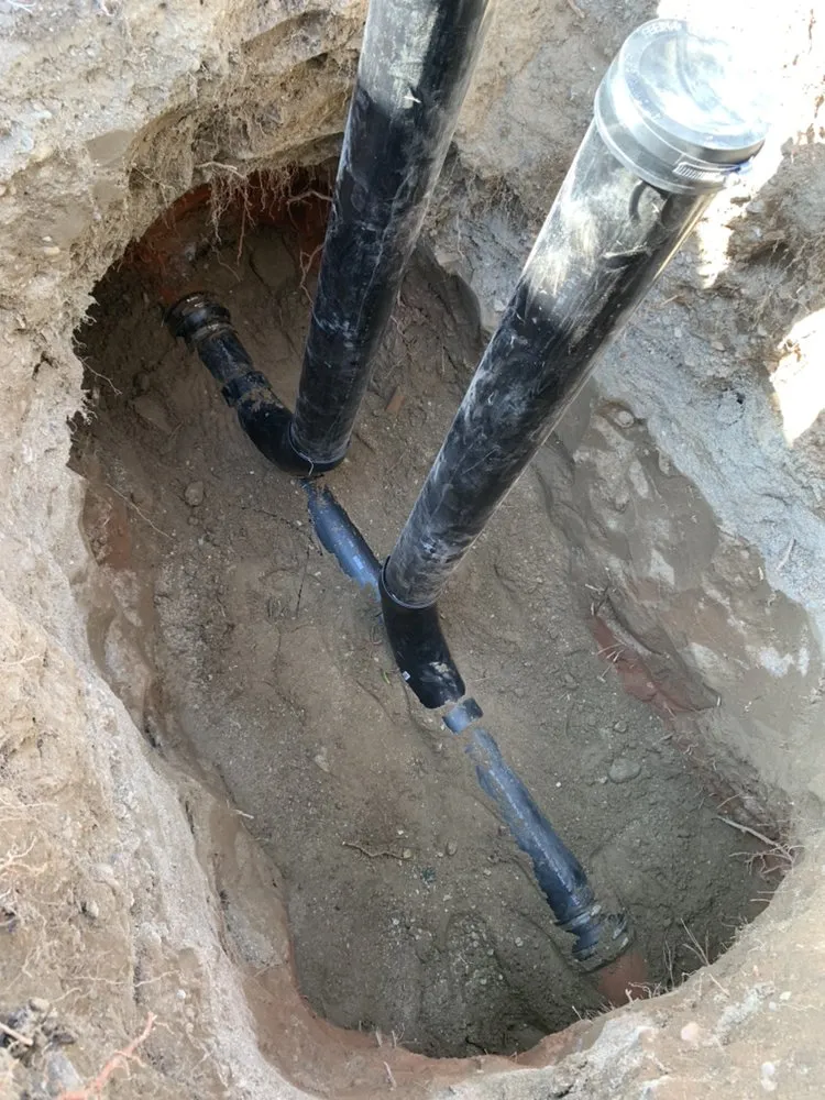 Slide of Dead Mouzz Design and Rooter