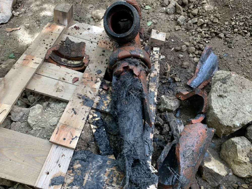 Slide of Dead Mouzz Design and Rooter