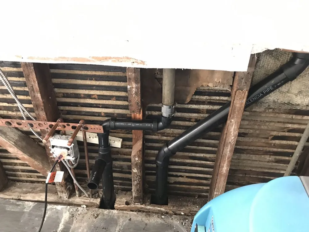 Slide of Dead Mouzz Design and Rooter