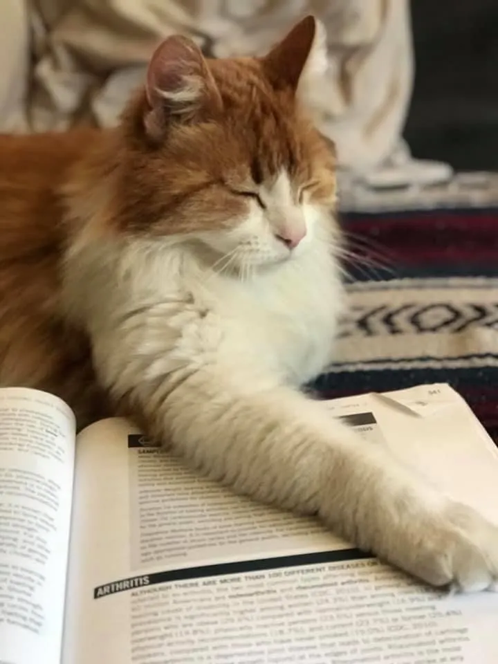 Slide of Dean's Plumbing & Heating Inc