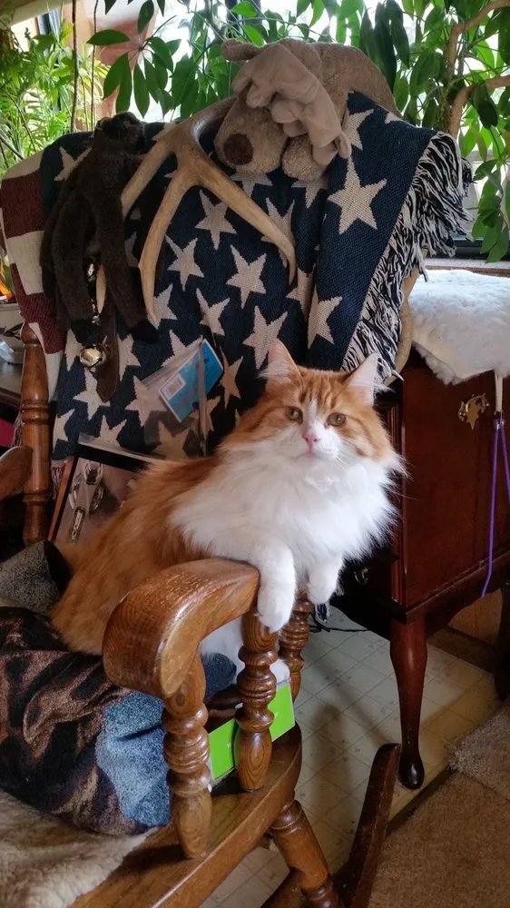 Slide of Dean's Plumbing & Heating Inc