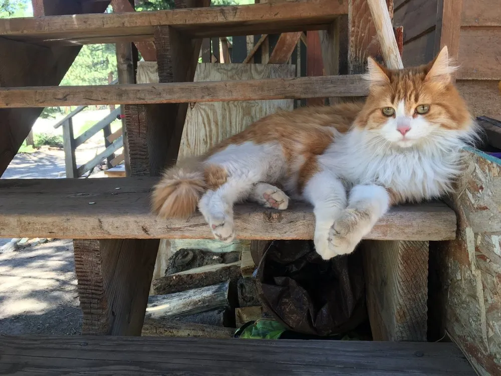 Slide of Dean's Plumbing & Heating Inc