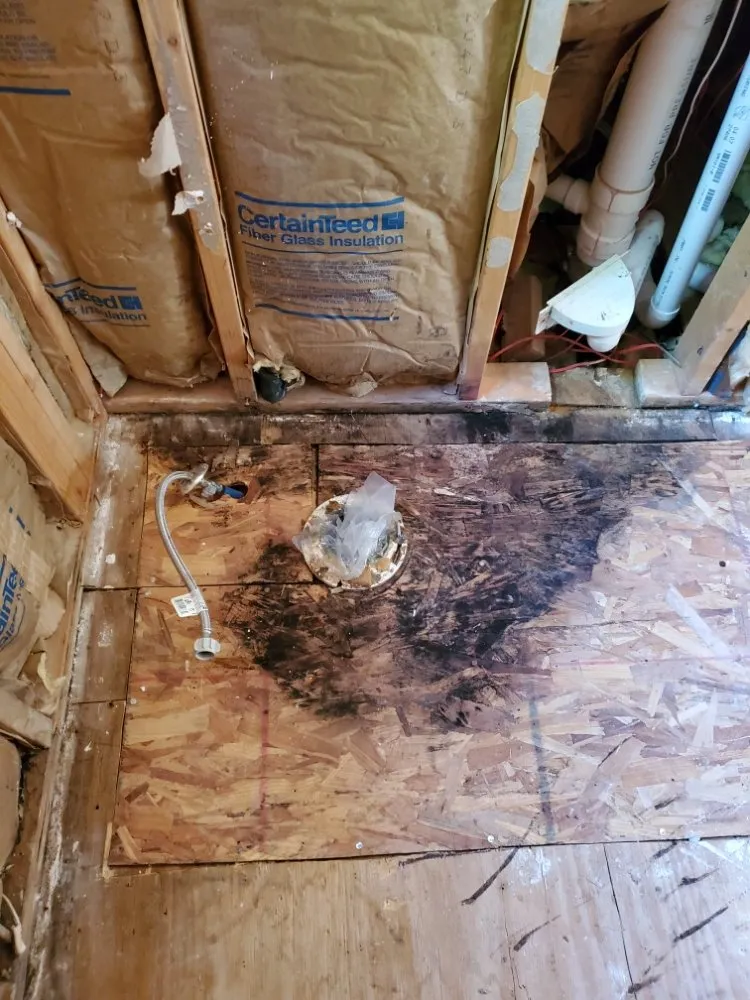 Professional leak detection for homes in Christiansburg, VA by DeAtley Plumbing