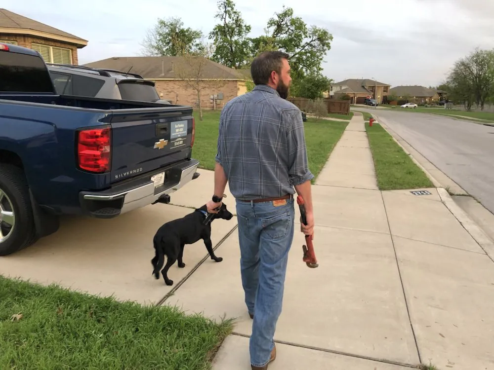 Slide of Deco Plumbdogs