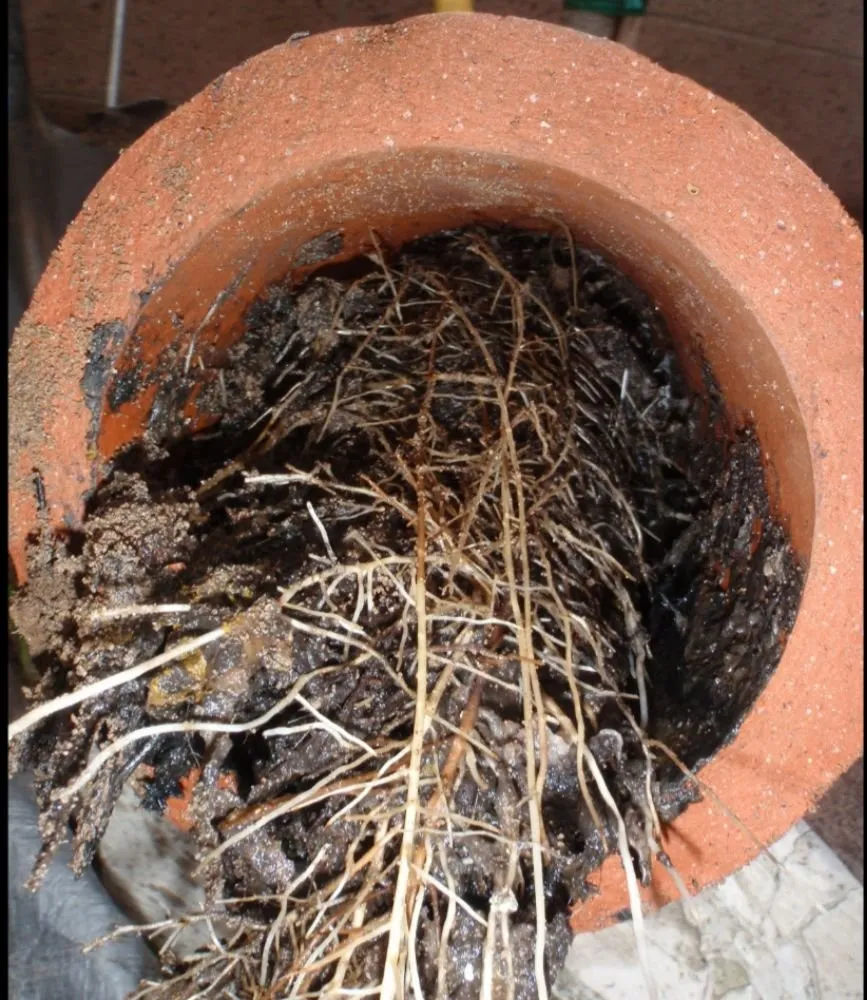 Slide of Dedicated Plumbing & Drain Specialist