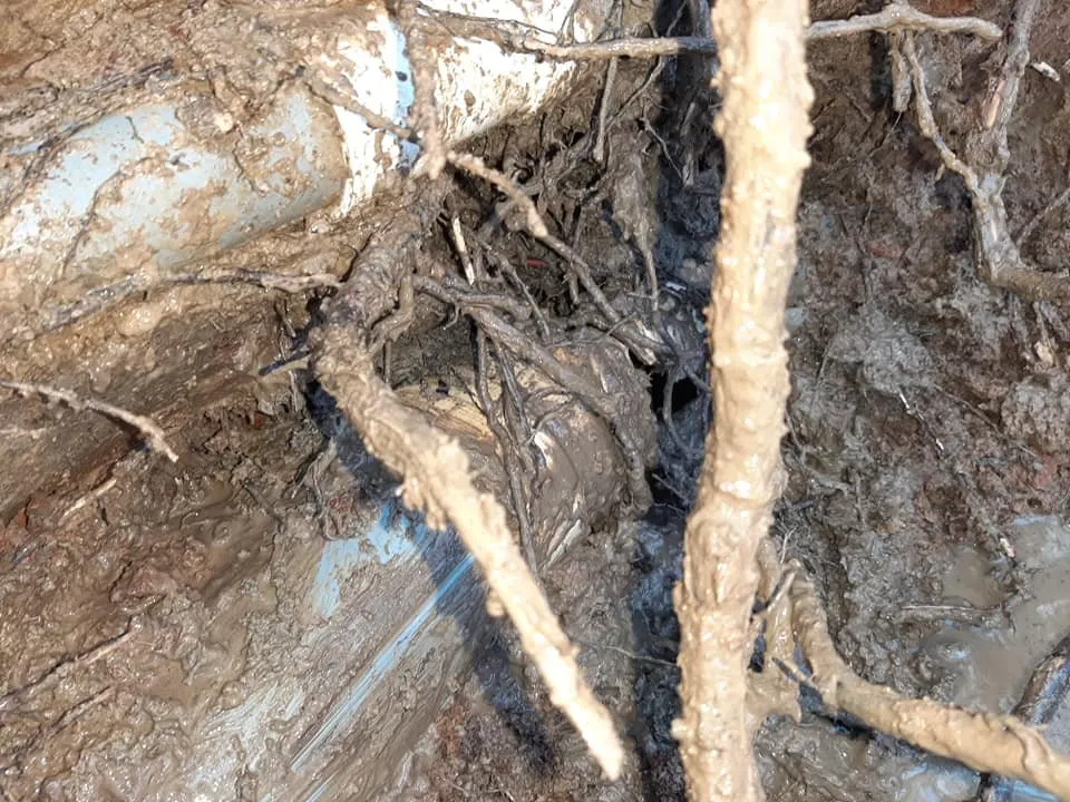 Slide of Dedication Plumbing