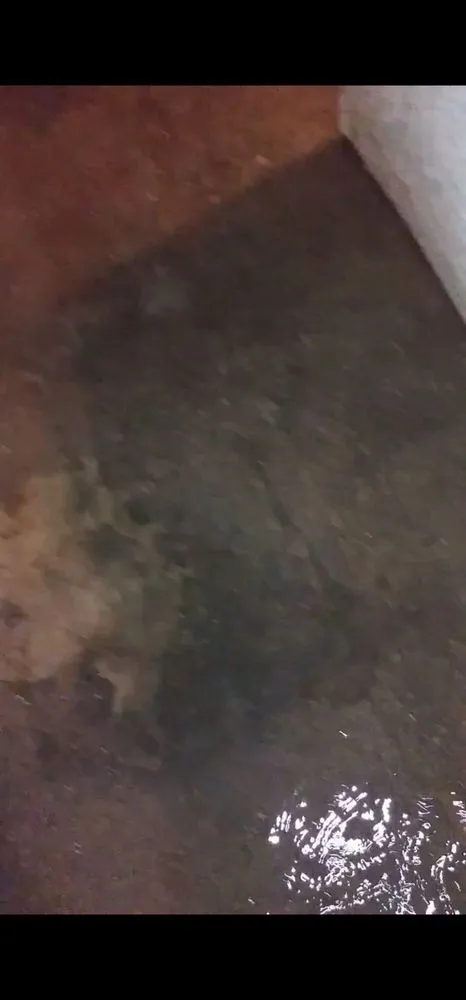 Professional leak detection for homes in Philadelphia, PA by Dee & Son Handyman Services