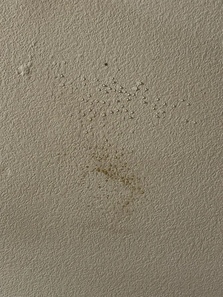 Top-rated emergency plumbing experts serving Modesto, CA - DeHart Plumbing Heating & Air