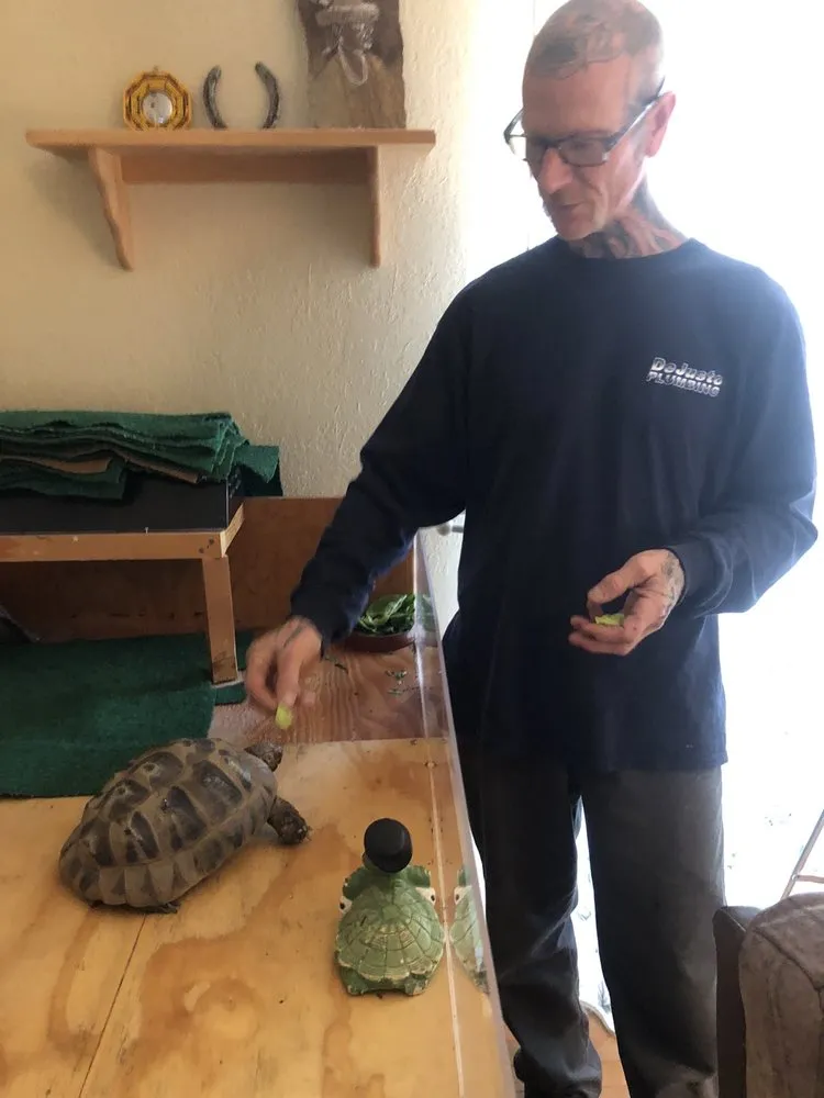 Slide of Dejusto Plumbing