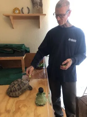 Dejusto Plumbing Logo