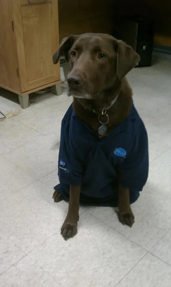 Slide of Deljo Heating and Cooling