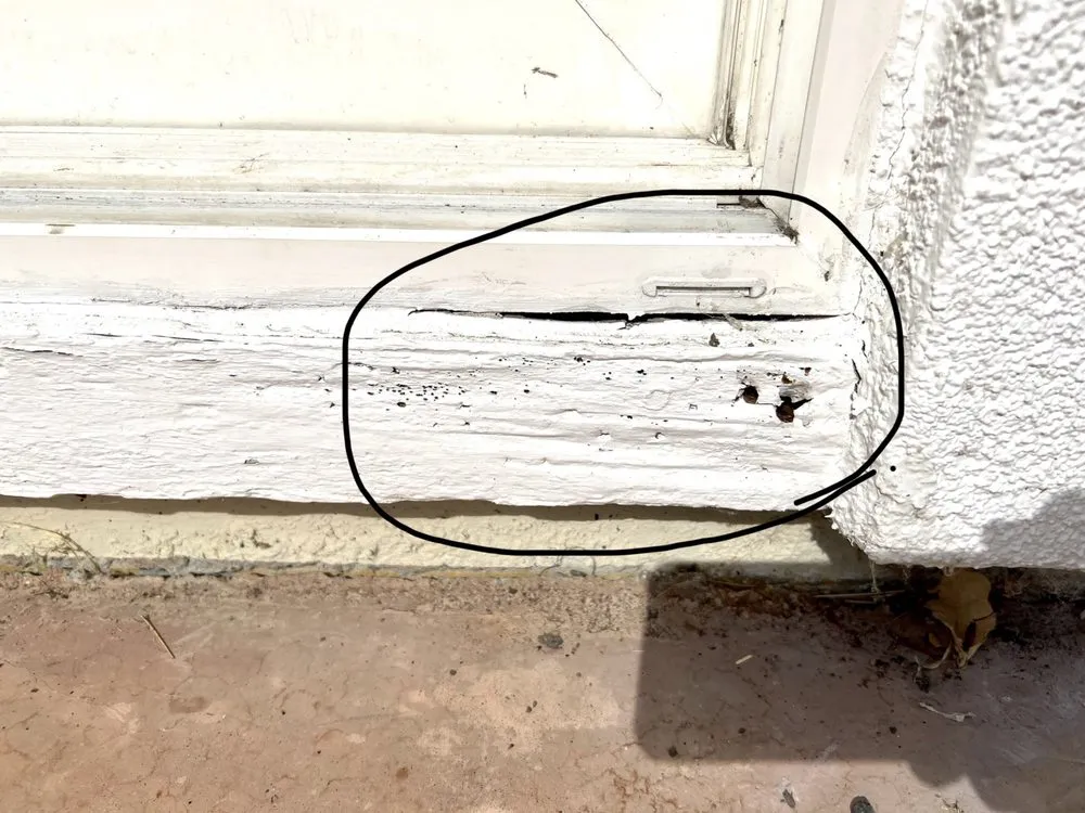 Affordable emergency plumbing service in Antioch, CA - Delta D Handyman