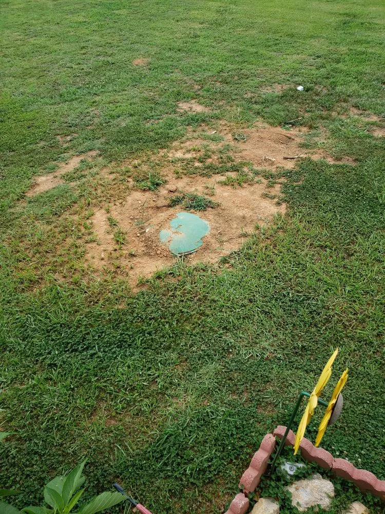 Slide of Delta The Educated Plumber