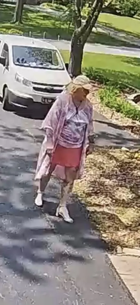 Slide of Denizas Plumbing