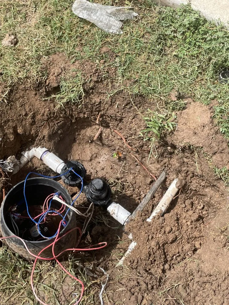 Slide of Dennis Trees service