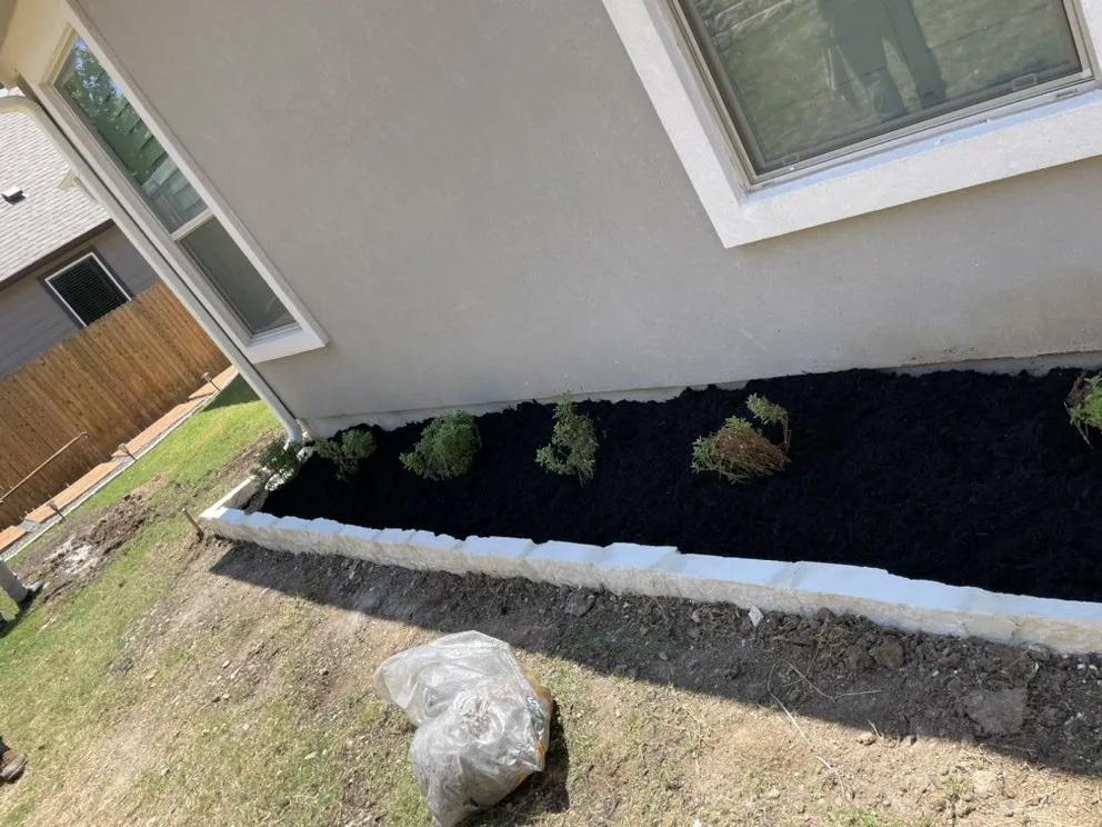 Slide of Dennis Trees service