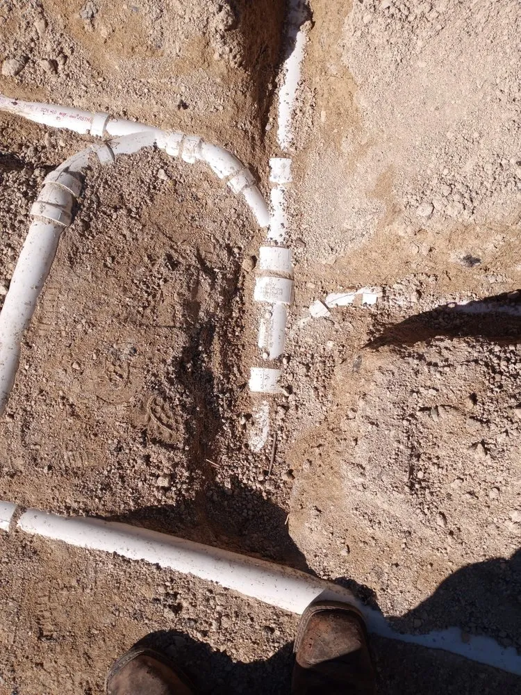 Slide of Dennis Trees service