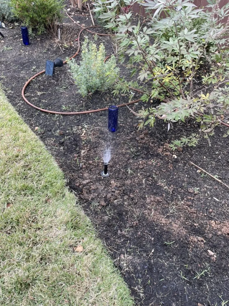 Slide of Dennis Trees service