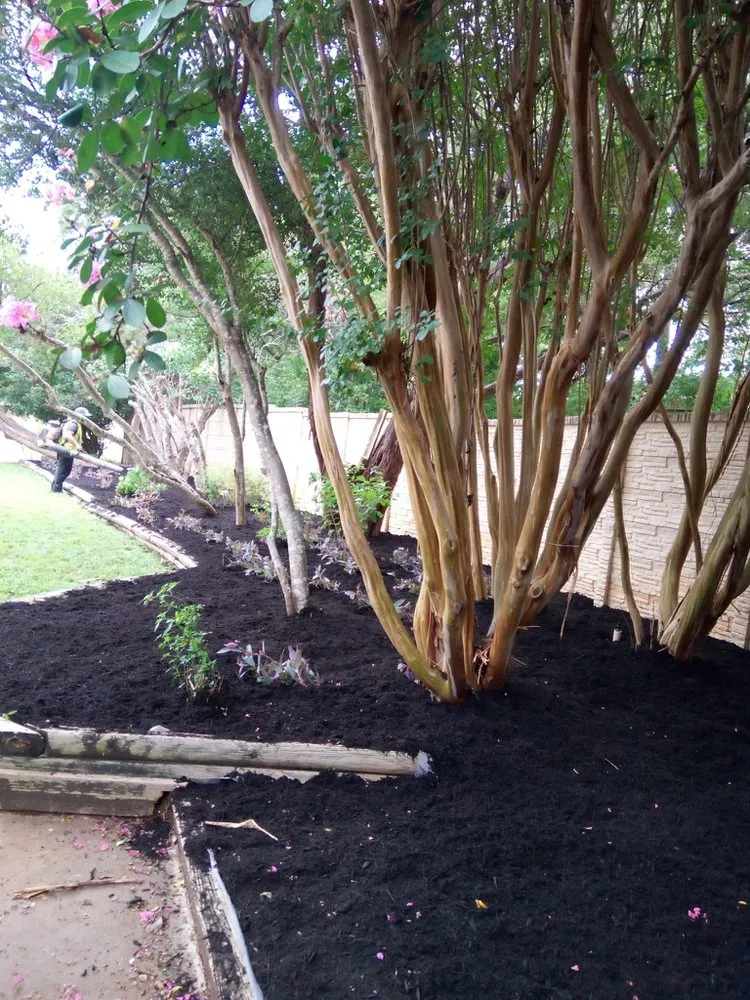 Slide of Dennis Trees service