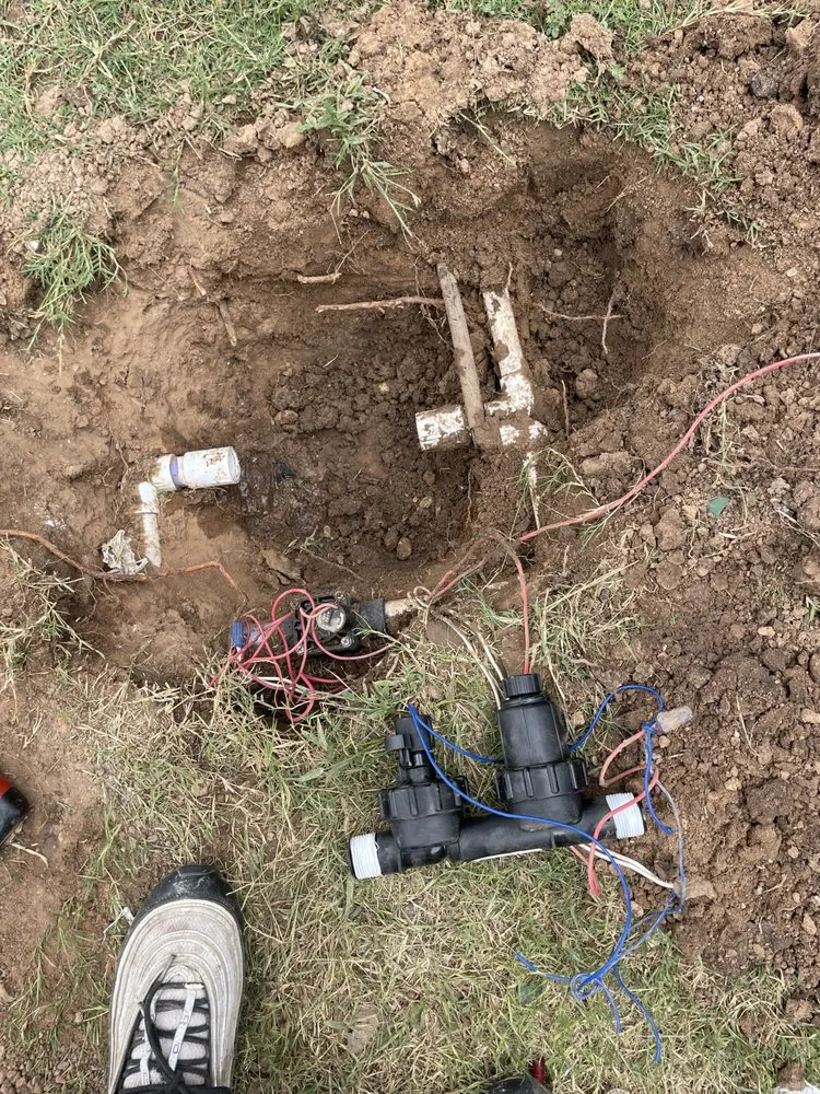 Slide of Dennis Trees service