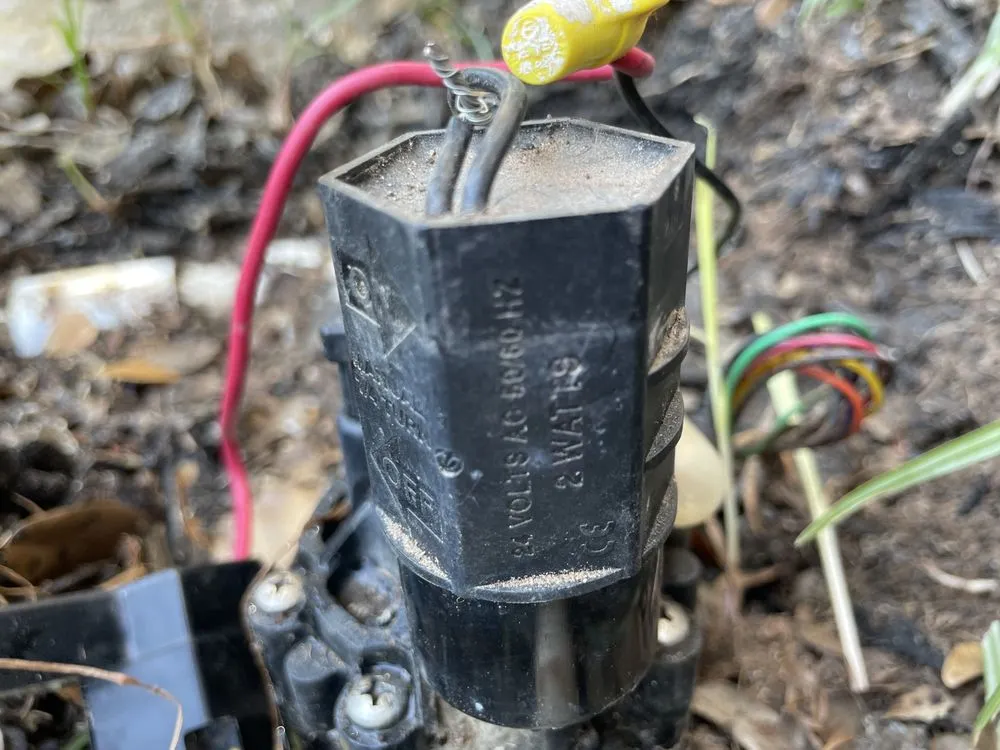 Slide of Dennis Trees service