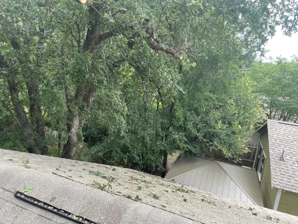 Slide of Dennis Trees service