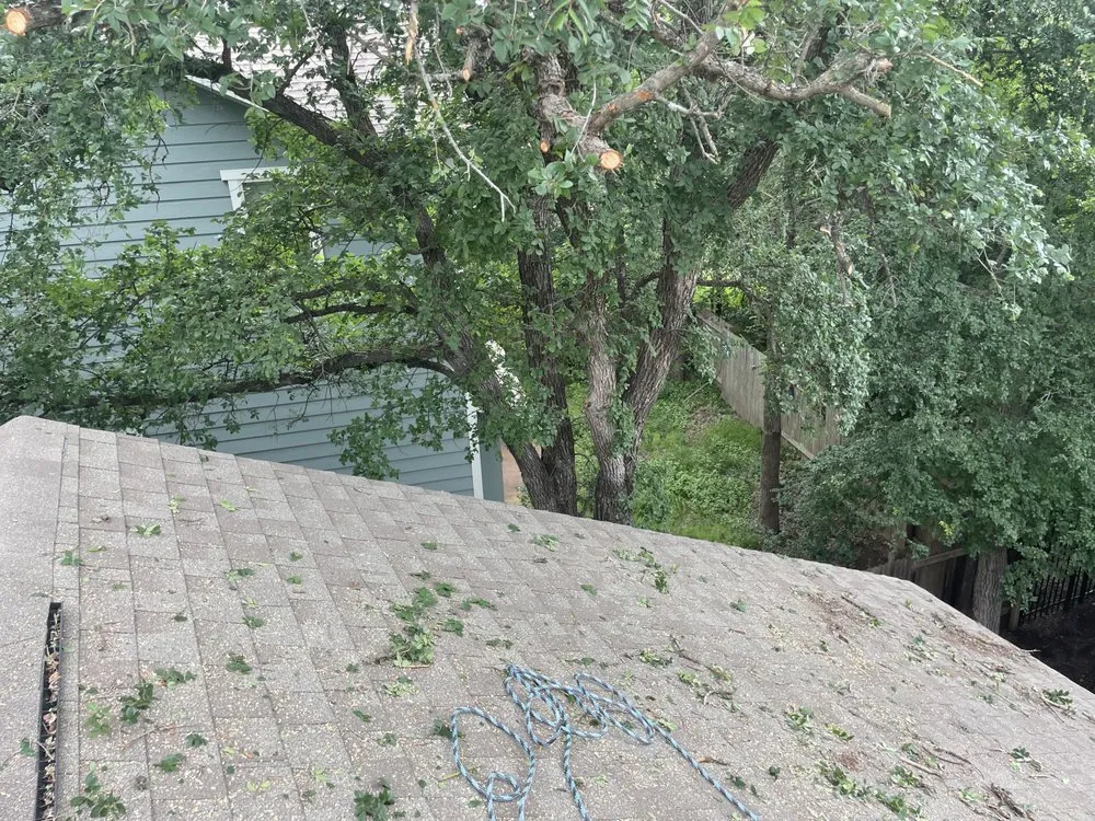 Slide of Dennis Trees service