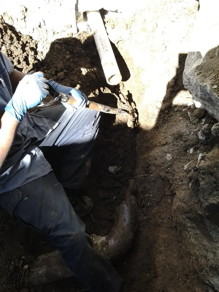 Slide of Denver Rooter Man