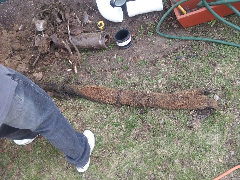 Slide of Denver Rooter Man