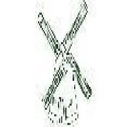 Slide of Dependable Dutchman