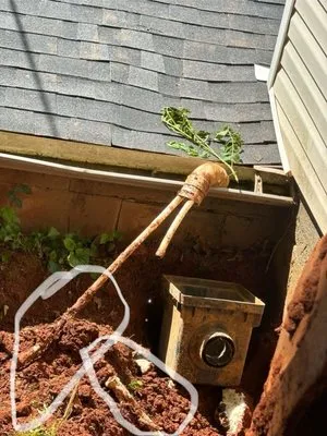 Design One Building Systems Logo