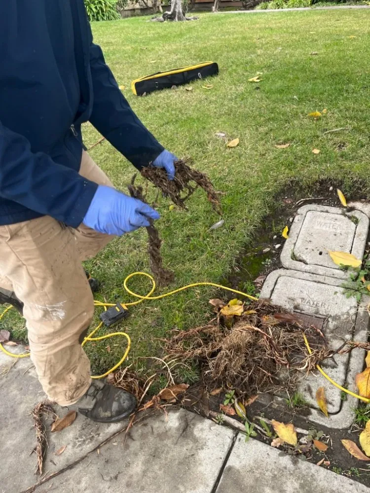 Slide of Destiny Plumbing