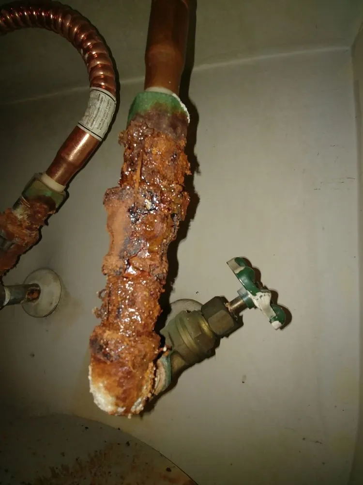 Emergency emergency plumbing in Sun Valley, CA by Detox Hydro Jet and Rooter Service
