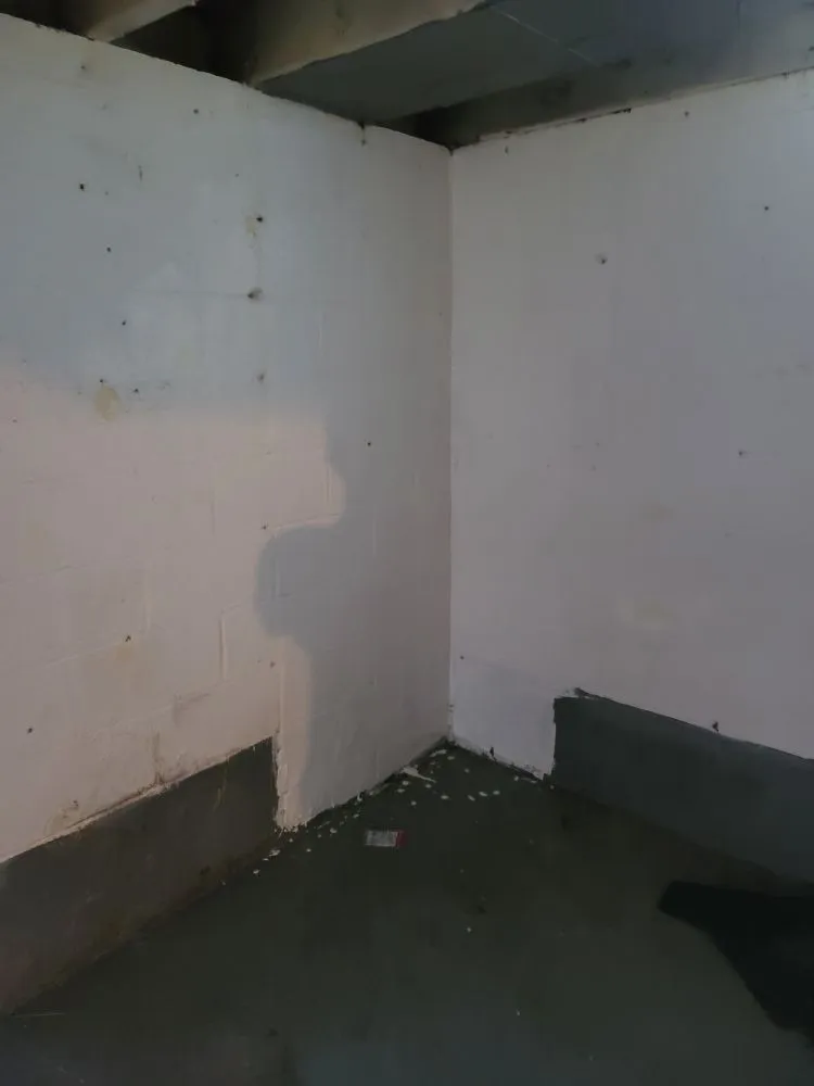 Slide of Detroit Rescue My Home