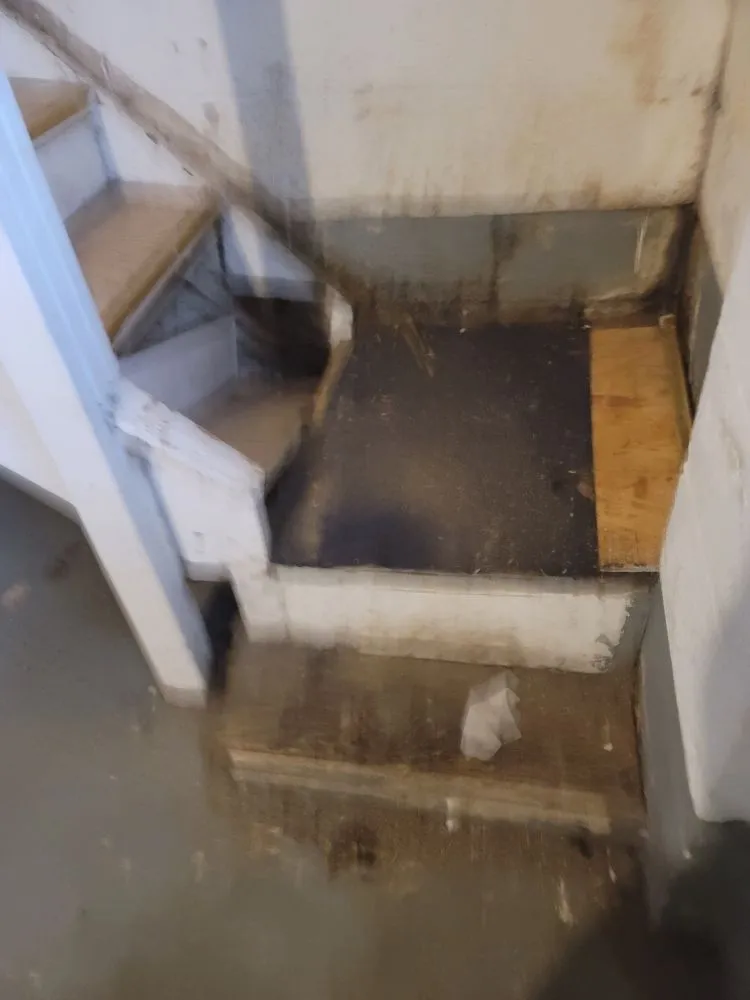 Slide of Detroit Rescue My Home